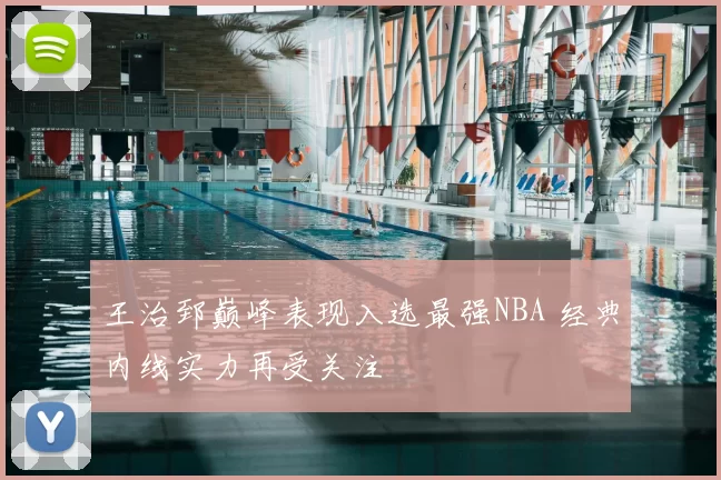 王治郅巅峰表现入选最强NBA 经典内线实力再受关注