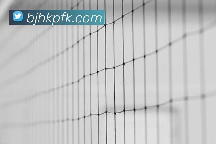 App Interface Preview